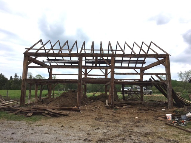 Maple Grove Barn.