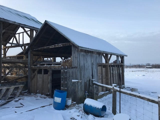 Tool Shed - Walden's Cabin