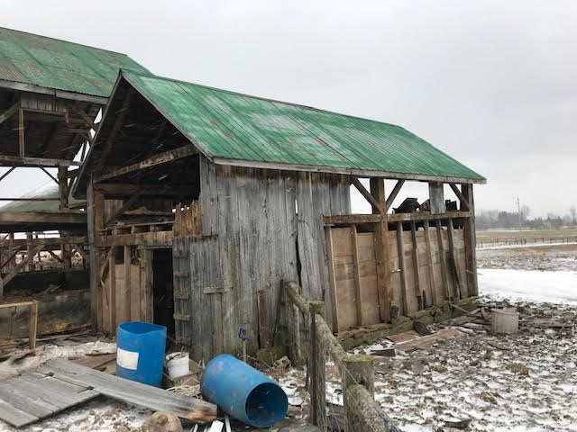 Tool Shed - Walden's Cabin