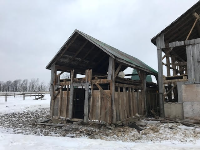 Tool Shed - Walden's Cabin