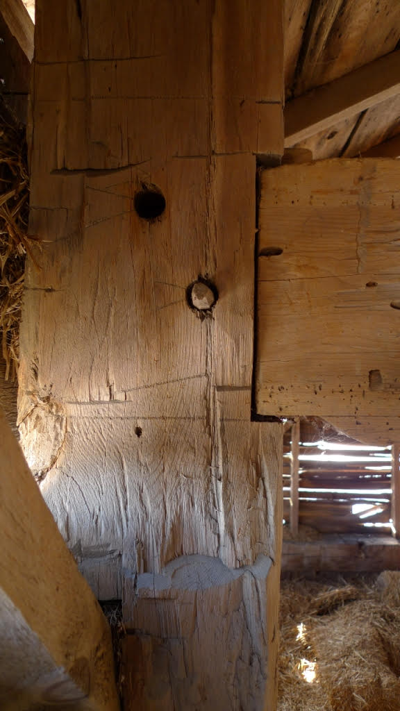 Humber River Barn